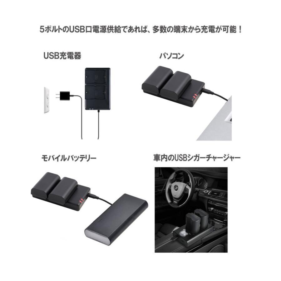 DC204 2点セット NinoLite LP-EL スピードライト EL-1対応充電式
