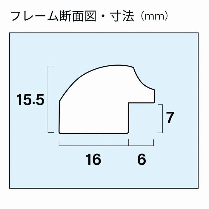 ワイドマットフレーム サイズ 半切ノートリ M5000 フジカラー フォト
