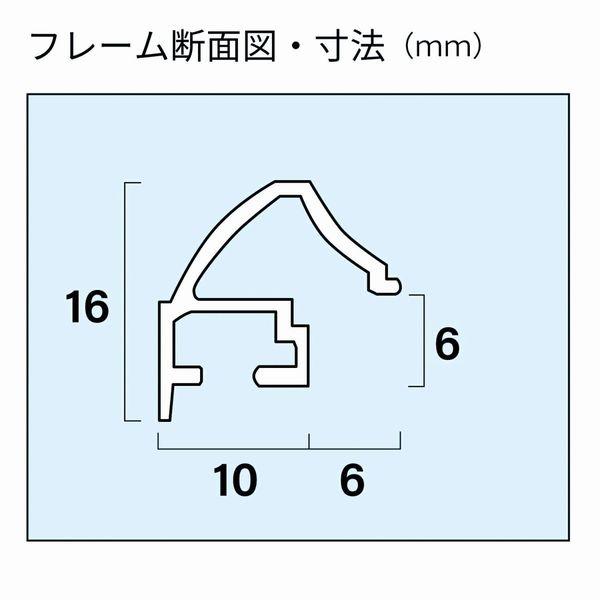 アルミ額 YA-5 サイズ 全紙 フォトフレーム フジカラー 壁掛け 額縁