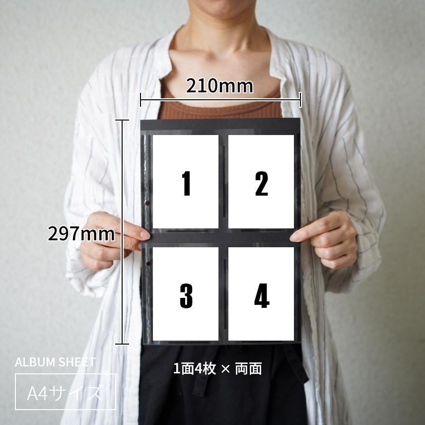 Pigeon（ピジョン） フォトアルバム 大容量 大量整理アルバム BOX付