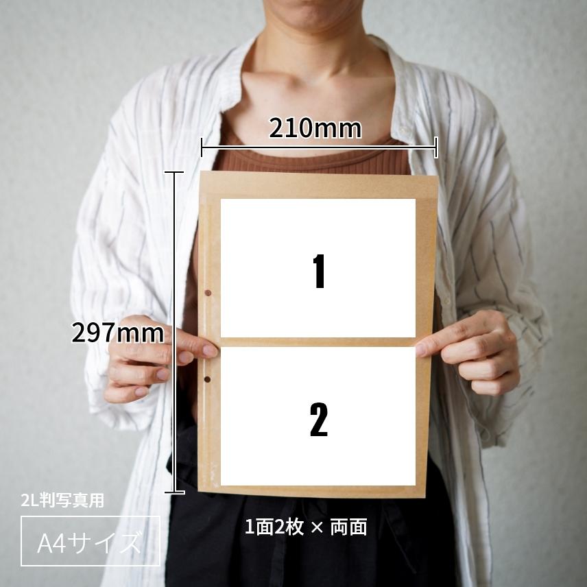 Pigeon（ピジョン） フォトアルバム 大容量 大量整理アルバム BOX付