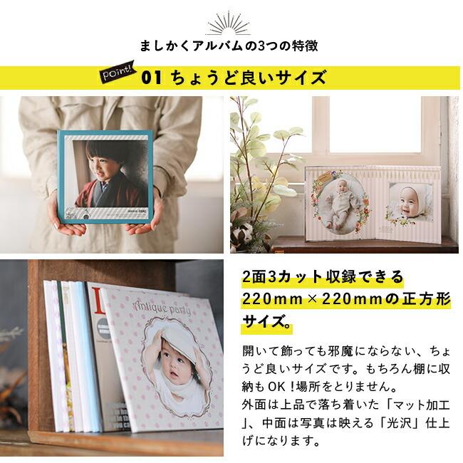 とと丸　台紙、台紙カバー3セット とと丸 台紙、台紙カバー3セット とと丸様専用 台紙、台紙カバー3