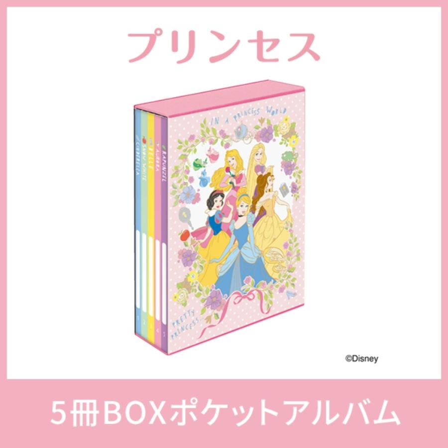 ナカバヤシ 5冊boxポケットアルバム6種類 2個セット 大人気キャラクターセットb L判3段 ミッキーフレンズ ディズニープリンセス ハローキティ マイメロディ すみっコぐらし スヌーピー 写真整理 キャラクター台紙 2640枚収納