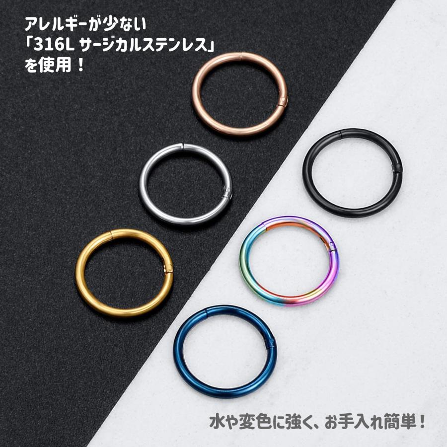 Risa ボディピアス 金属アレルギー対応 両耳 フープ セグメント Risa ボディピアス 金属アレルギー対応 両耳 フープ セグメント