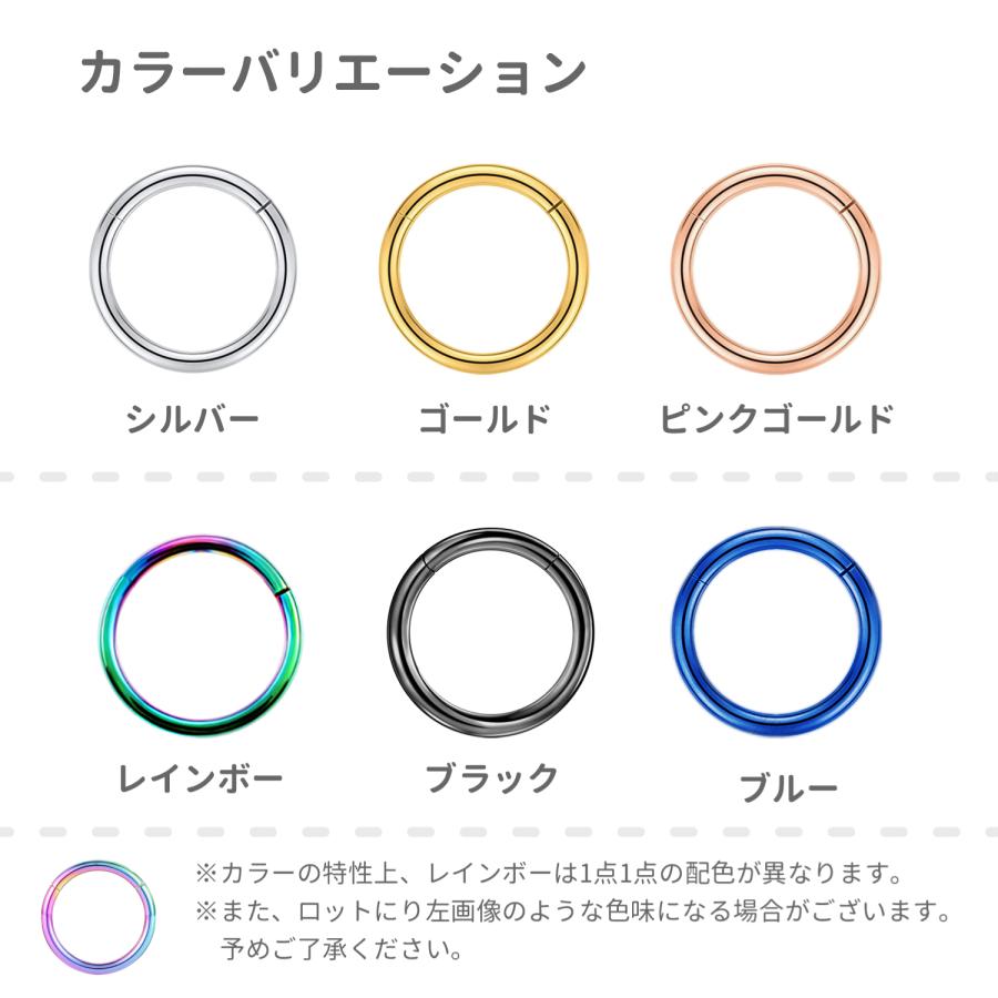 Risa ボディピアス 金属アレルギー対応 両耳 フープ セグメント Risa ボディピアス 金属アレルギー対応 両耳 フープ セグメント