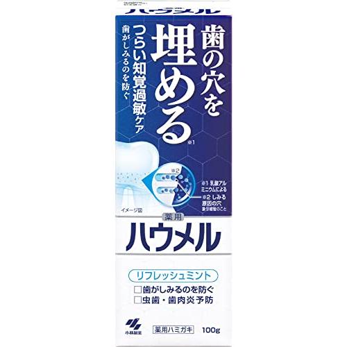ハウメル 知覚過敏ケア ペースト 薬用ハミガキ 100g 歯の穴を埋める 小林製薬 【医薬部外品】 1個（Yahoo!・ホタルブクロphysalis）