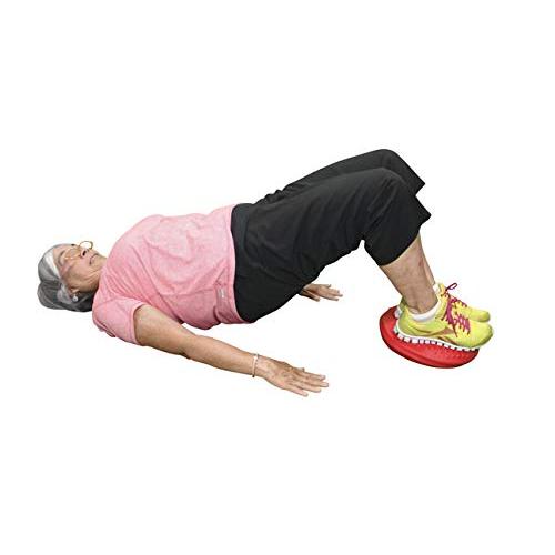 ギムニク(GYMNIC) バランス ディスク(ディスコシット・ジュニア) ギムニク GYMNIC バランス ディスク ディスコシット ジュニア