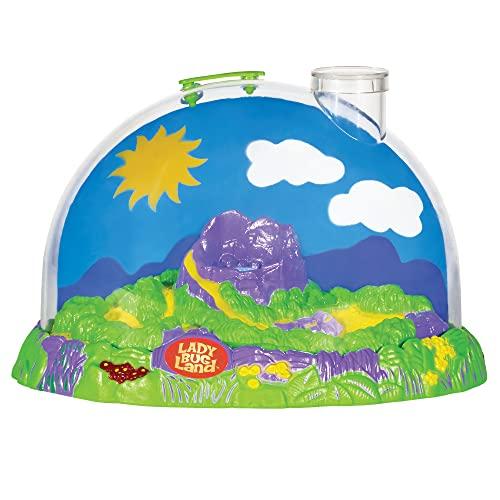 昆虫伝承ライブてんとう虫育成キット玩具 昆虫伝承ライブてんとう虫育成キット玩具