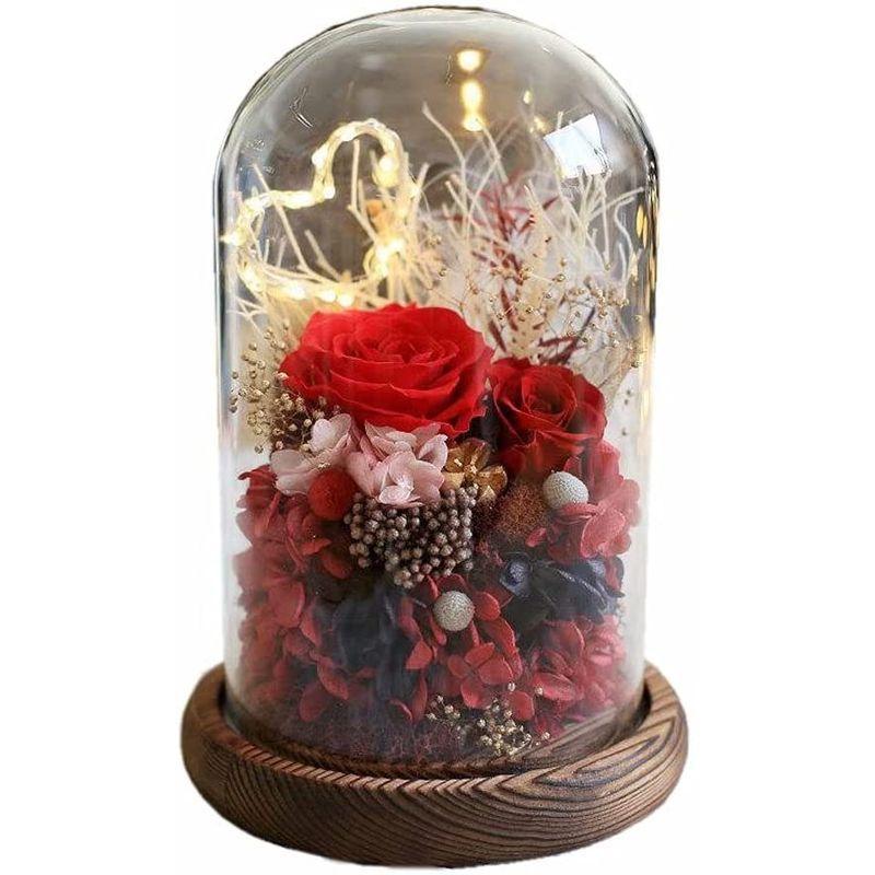 ランキング上位のプレゼント カクタス ｃａｃｔｕｓ Crc 100用オプション部品 N Sr Srタイプ一式