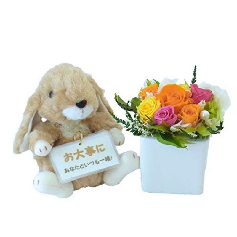 入院お見舞い よりそい隊シリーズうさぎ ぴょん太 お留守番カードブーケl付 Storeの入院お見舞い よりそい隊シリーズうさぎ ぴょん太 お留守番カードブーケl付 ならショッピング ランキングや口コミも豊富なネット通販 更にお得なpaypay残高も