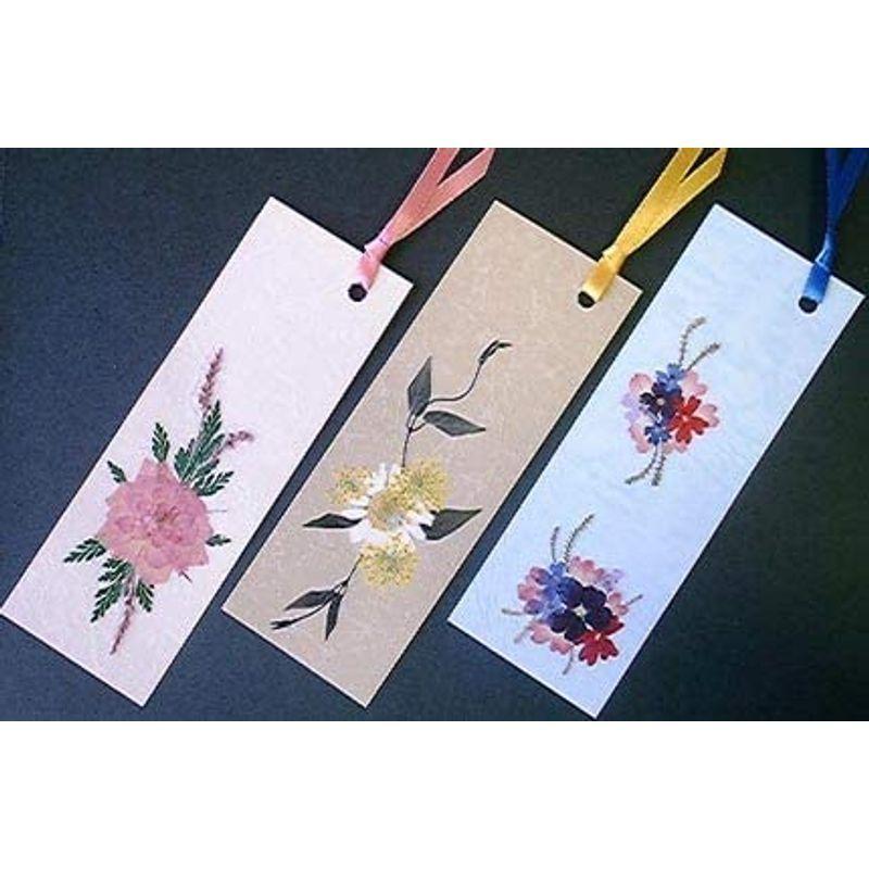 Sale 10 Off 押し花しおり材料セット台紙 アイロンフィルム リボン３セットの価格 Kinderlandia Edu Co