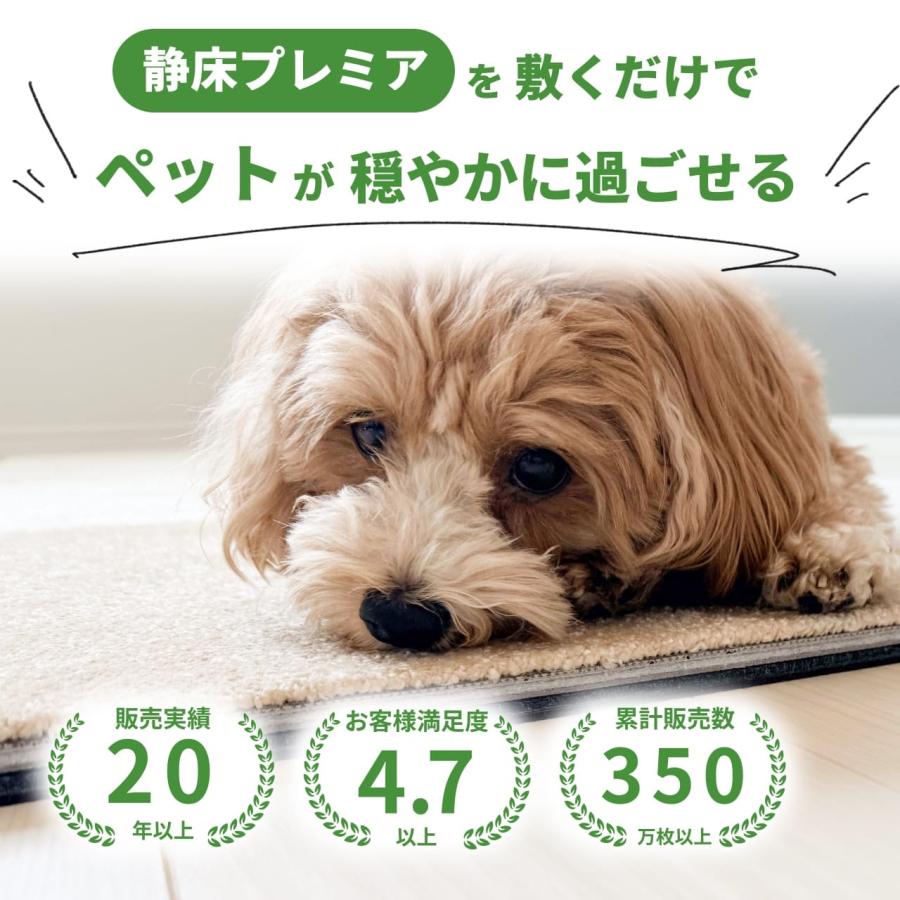 日東紡マテリアル 防音マット 防音カーペット 静床プレミア50cm×50cm 8