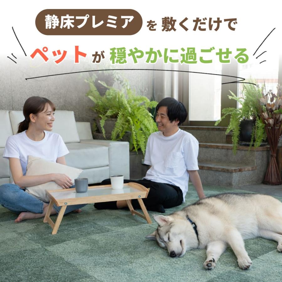 日東紡マテリアル 防音マット 防音カーペット 静床プレミア50cm×50cm 8