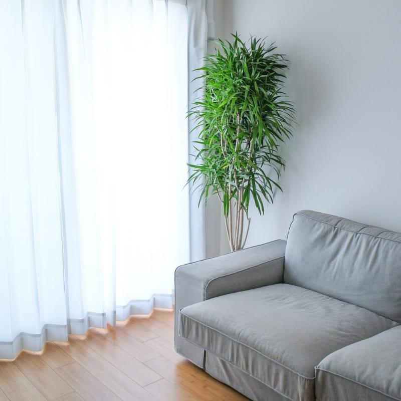 防音専門ピアリビング 防音レースカーテン 防音カーテン トルモア既製