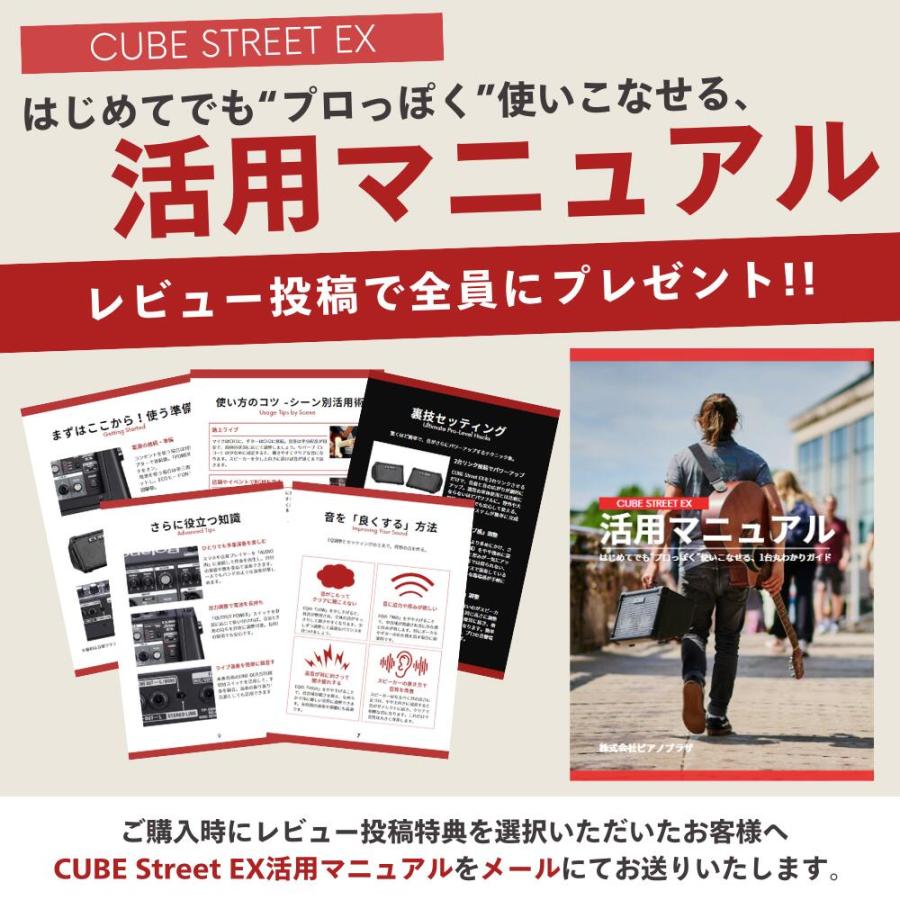 ローランド（Roland） 【最短翌日お届け】Roland CUBE STREET EX