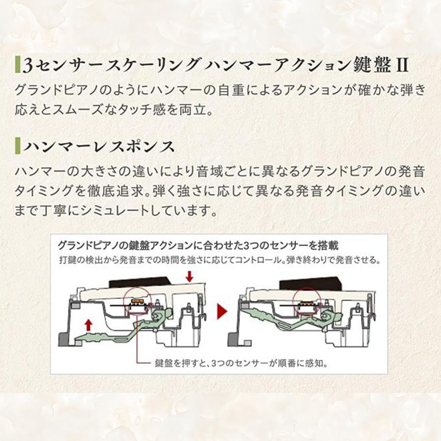CASIO 電子ピアノ 88鍵盤 新品【最短翌日お届け】【人気】カシオ CASIO 電子ピアノ 88鍵盤 新品【最短翌日お届け】【人気】カシオ