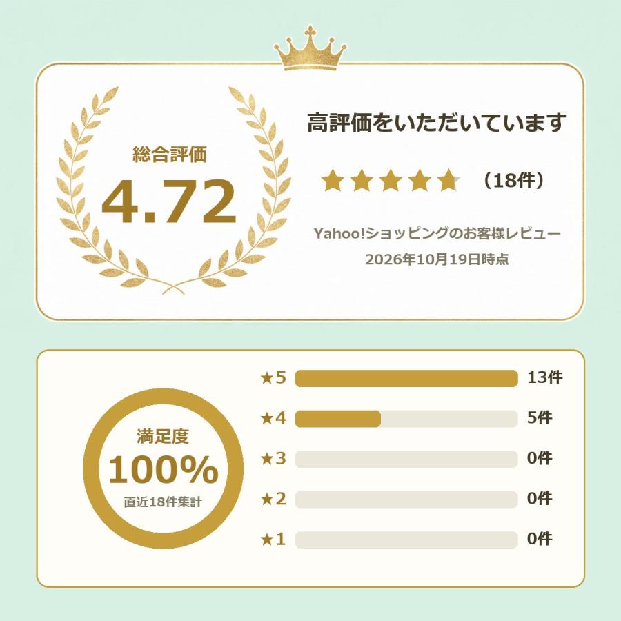 エレフエ Elefue 電子リコーダー EF10【1年保証付】運指標・マウス
