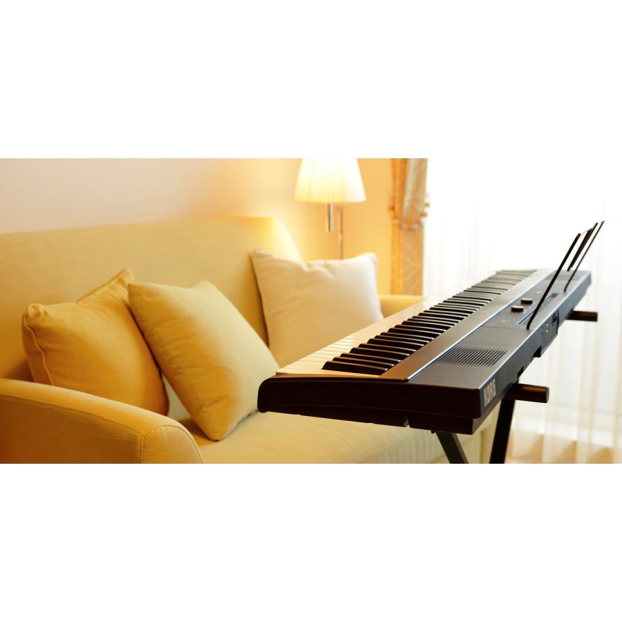 KORG 新品【最短翌日お届け】KORG コルグ Liano L1SP 電子ピアノ KORG 新品【最短翌日お届け】KORG コルグ Liano L1SP 電子ピアノ