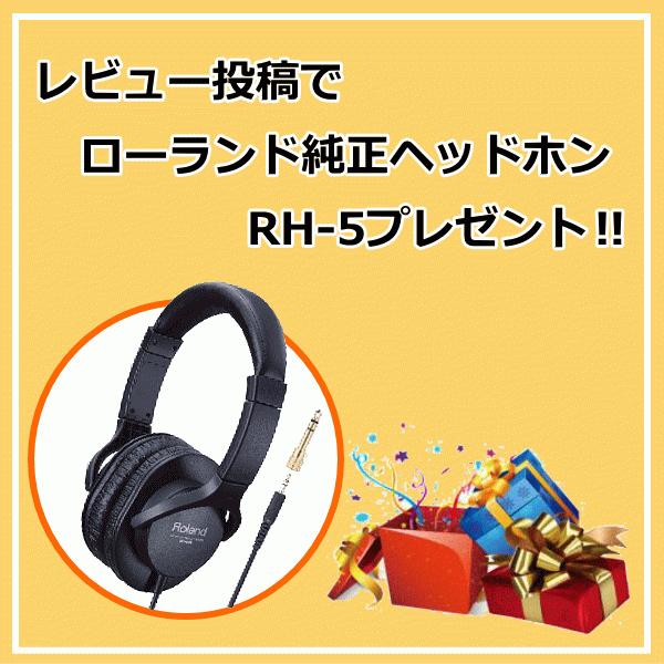 ローランド（Roland） 【最短翌日お届け】ローランド デジタル管楽器