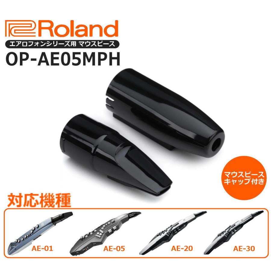 ローランド 【最短翌日お届け】ローランド デジタル管楽器 ローランド 【最短翌日お届け】ローランド デジタル管楽器