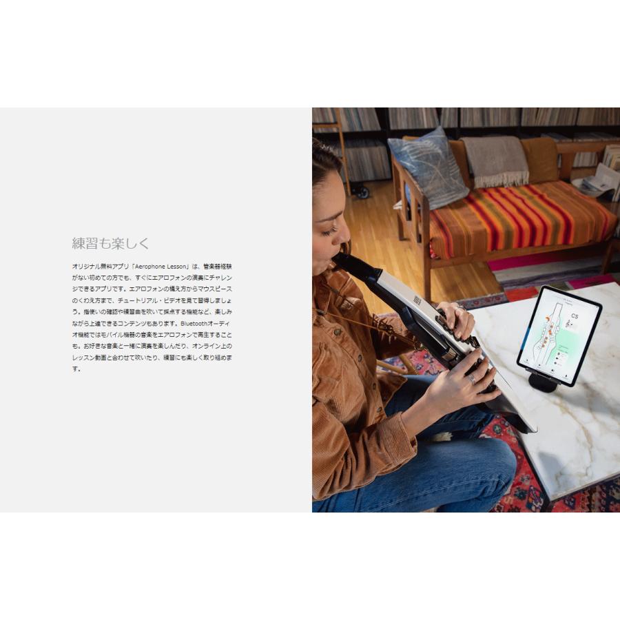 【本日限定ポイント最大+12％】ローランド Roland Digital Wind Instrument デジタル管楽器 専用キャリングバッグ付き Aerophone エアロフォン AE-20｜pianoplaza｜12