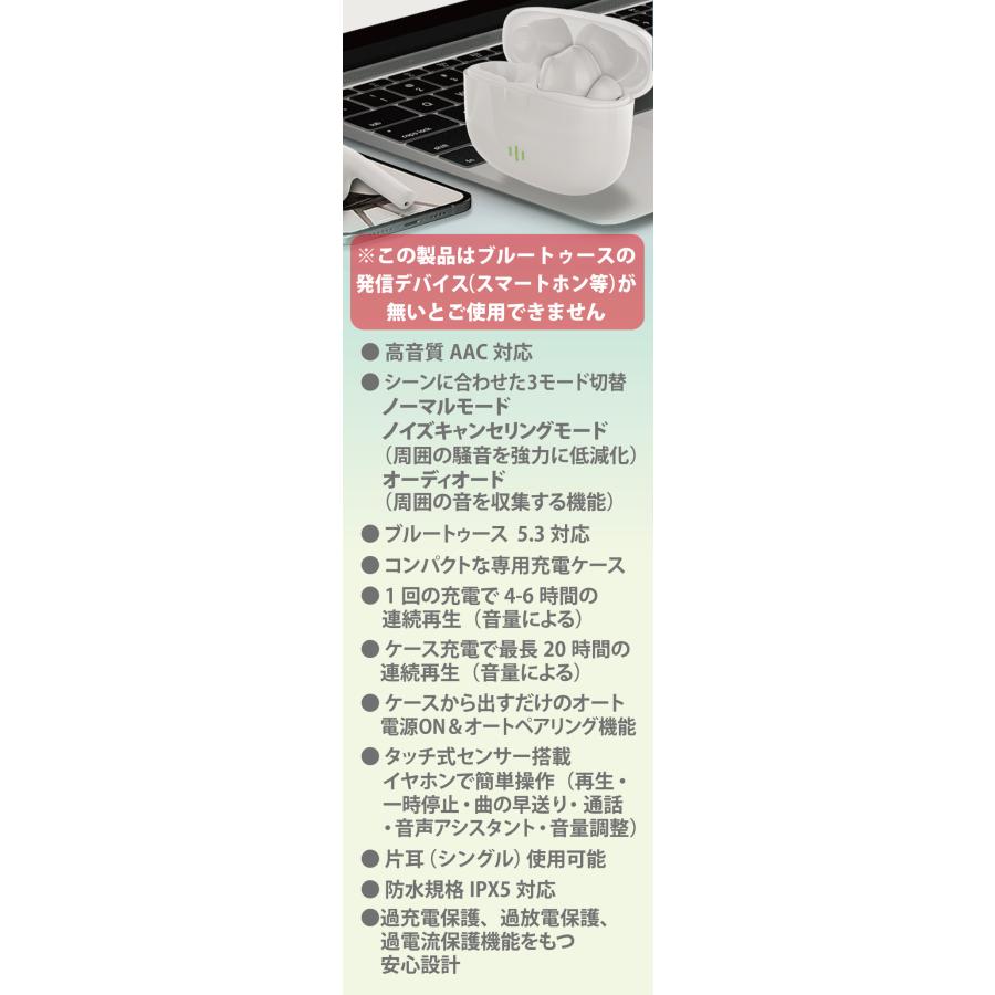 ノイズキャンセリングイヤホン bluetooth 5.3 ワイヤレスイヤホン 左右