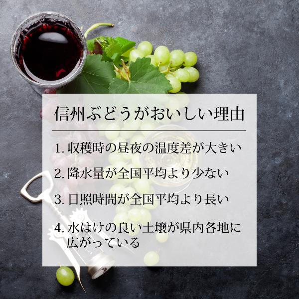 ワイナリーこだわりのグレープミックス 黒の果実 1000ml 6本セット｜piary530｜04