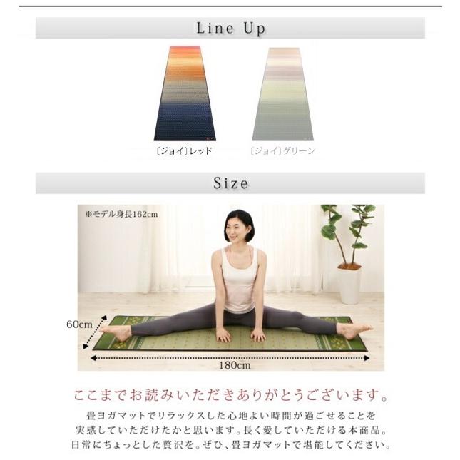 絵図面国産畳瑜伽つや消し 楽しいこと 60×180糎 赤いこと
