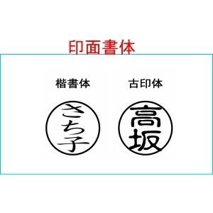 ディズニー　アナと雪の女王プレミアムペア印鑑セット　入園入学祝い・印鑑・銀行印・認印_3