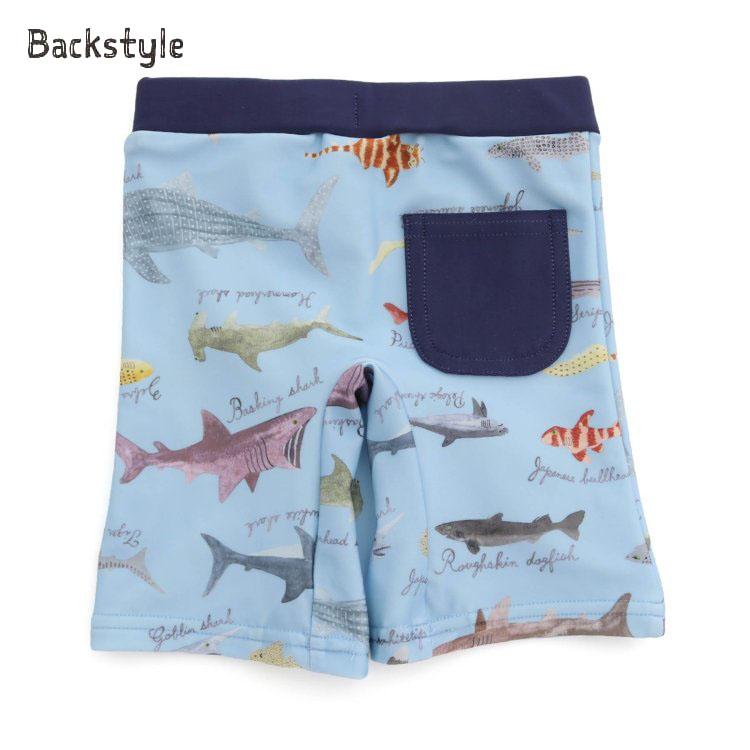 BIT'Z（ビッツ） 水着 スイムパンツ サメ図鑑柄 UVカット 海の生き物