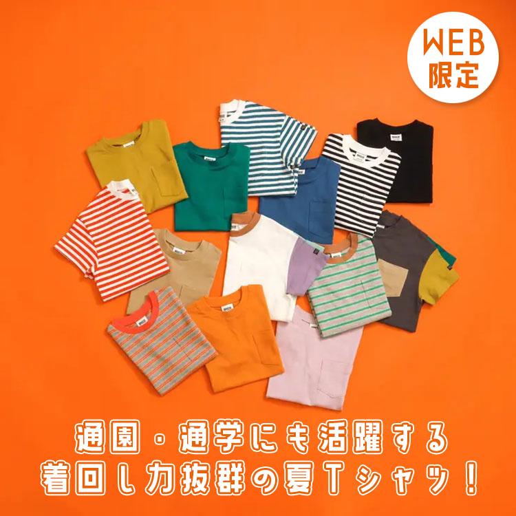 プリーツブリーズ　半袖　カットソー BREEZE（ブリーズ） 半袖Tシャツ 胸ポケット 無地 ボーダー 切替 綿100