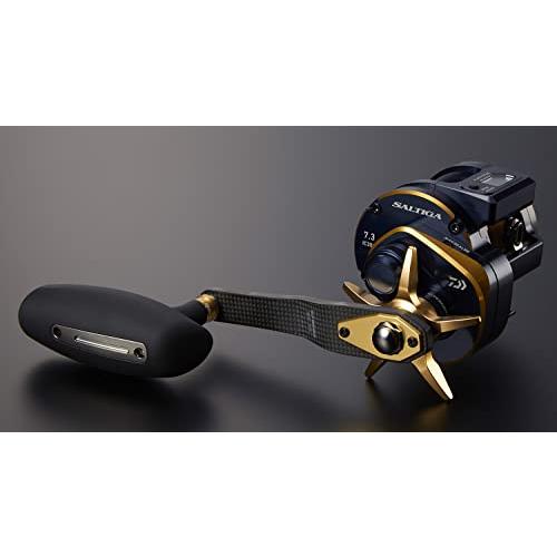 ダイワslpワークス(Daiwa Slp Works) SLPW 85-95mm カーボン