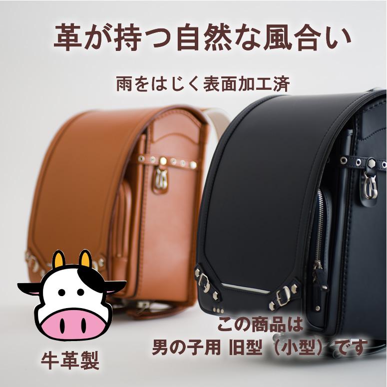 ルビーセル　アンプル新品2箱と本体セット　訳あり 楽天市場】【セット】オードブル Z-68 DX 透明蓋セット【10枚