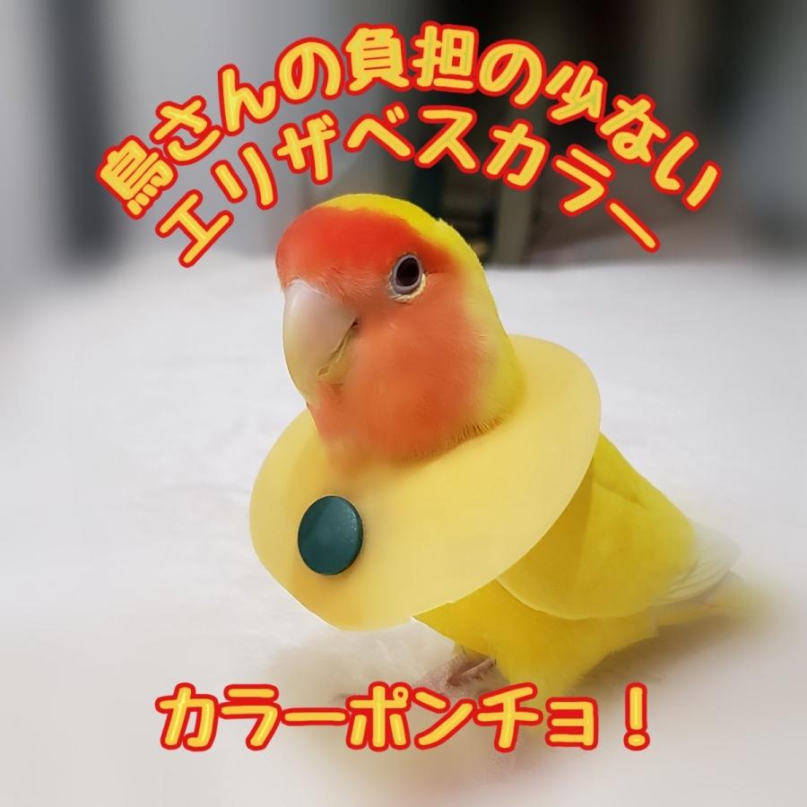 鳥 エリザベスカラー ポンチョタイプ 1枚 3サイズ 3色 3g Reiwa19 ハンドメイドペットグッズぴーちく 通販 Yahoo ショッピング