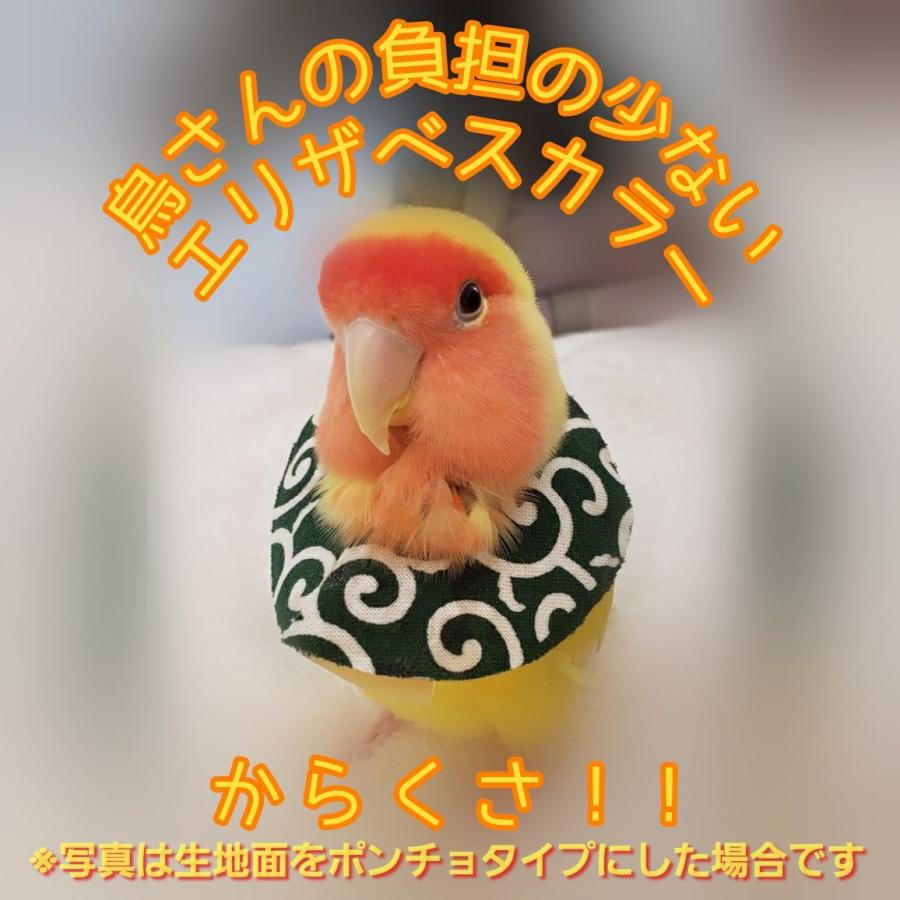 鳥 エリザベスカラー(唐草模様) 1枚・3サイズ・緑・赤・4g｜pichiku-store
