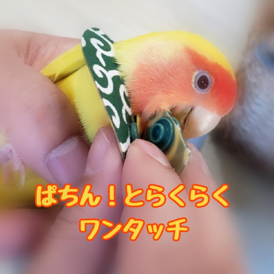 鳥 エリザベスカラー(唐草模様) 1枚・3サイズ・緑・赤・4g｜pichiku-store｜02