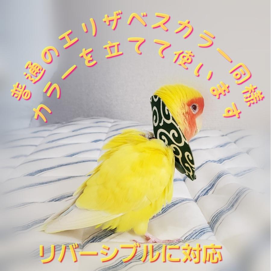 鳥 エリザベスカラー(唐草模様) 1枚・3サイズ・緑・赤・4g｜pichiku-store｜03