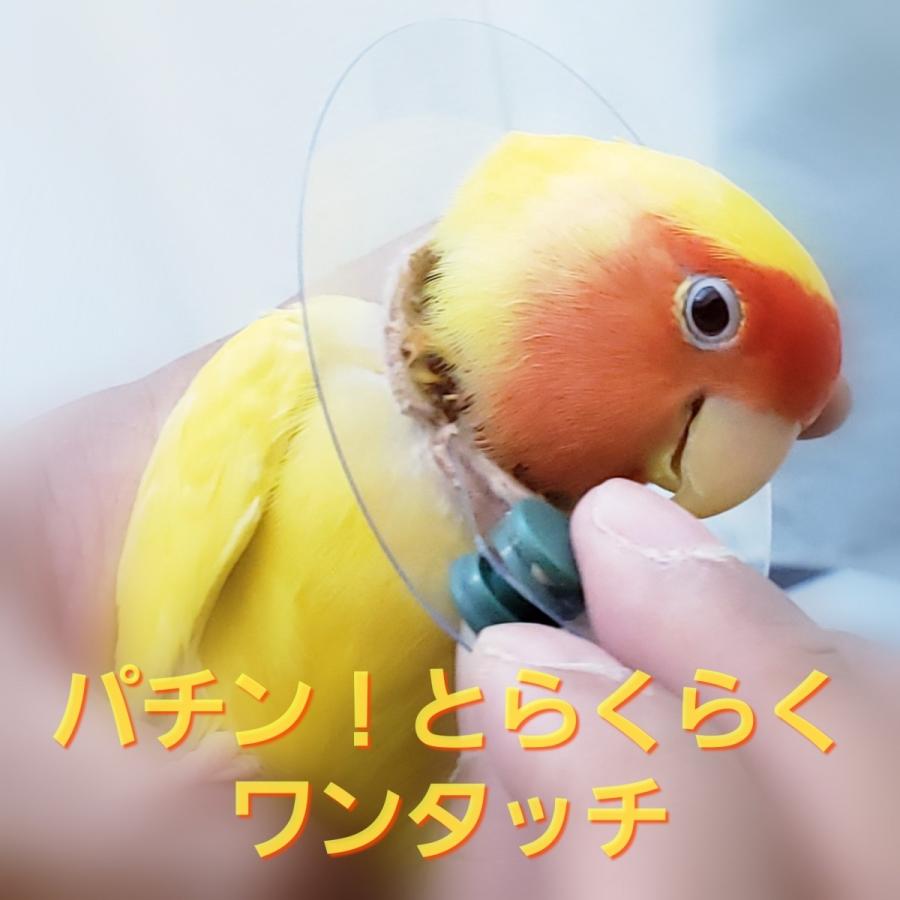 鳥 エリザベスカラー(クリア) 1枚・4サイズ・3色・3g｜pichiku-store｜02