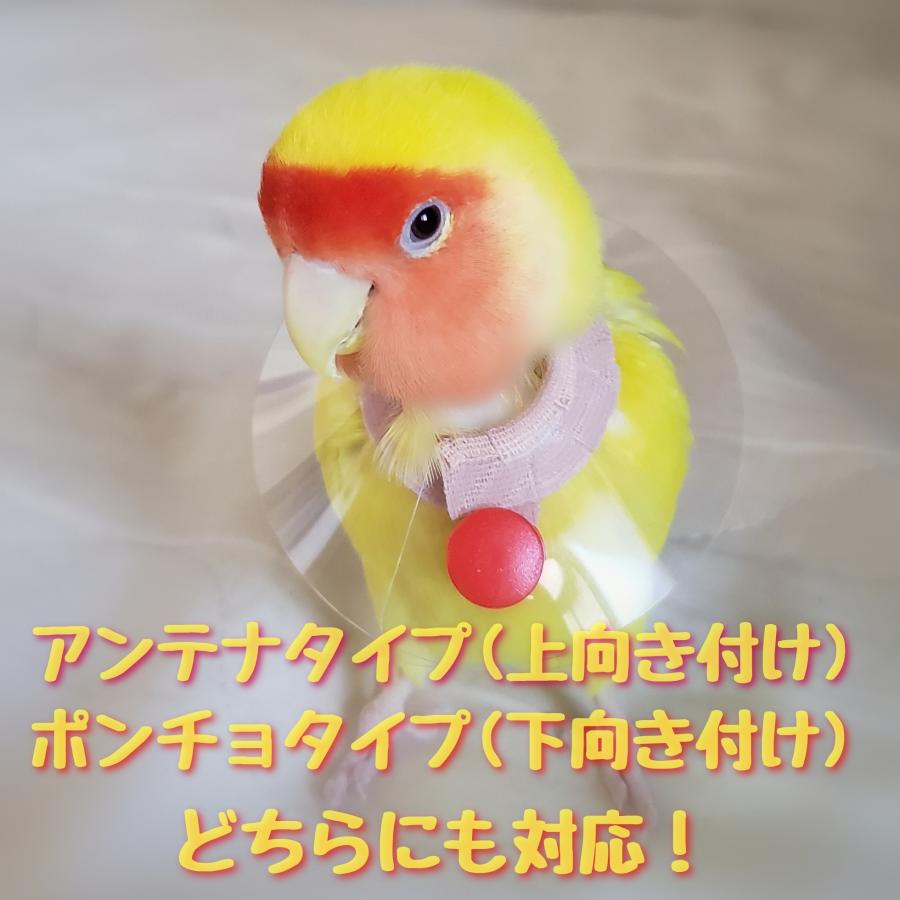 鳥 エリザベスカラー(クリア) 1枚・4サイズ・3色・3g｜pichiku-store｜03