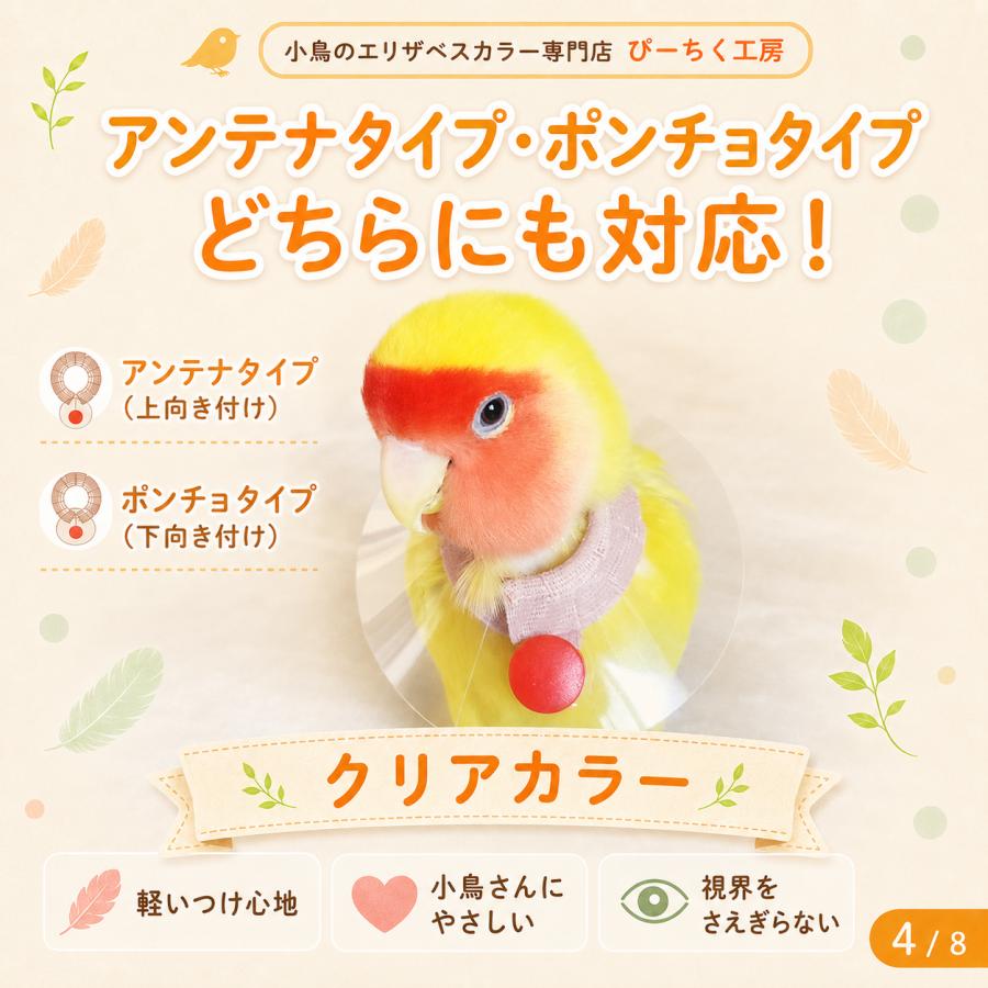 鳥 エリザベスカラー(クリア) 1枚・6サイズ・3色・3g : 小鳥の