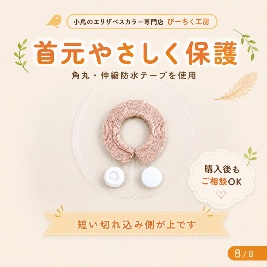 鳥 エリザベスカラー(クリア) 1枚・6サイズ・3色・3g : 小鳥の
