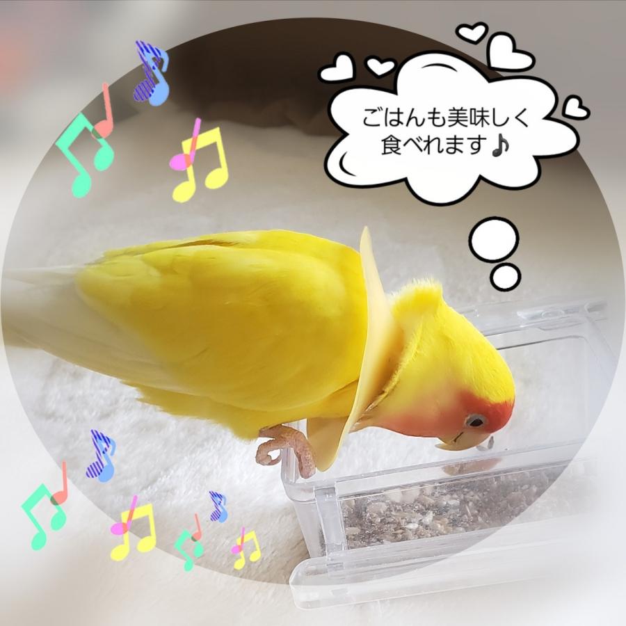 鳥 エリザベスカラー(ポンチョタイプ) 1枚・3サイズ・3色・3g 鳥 エリザベスカラー(ポンチョタイプ) 1枚・3サイズ・3色・3g
