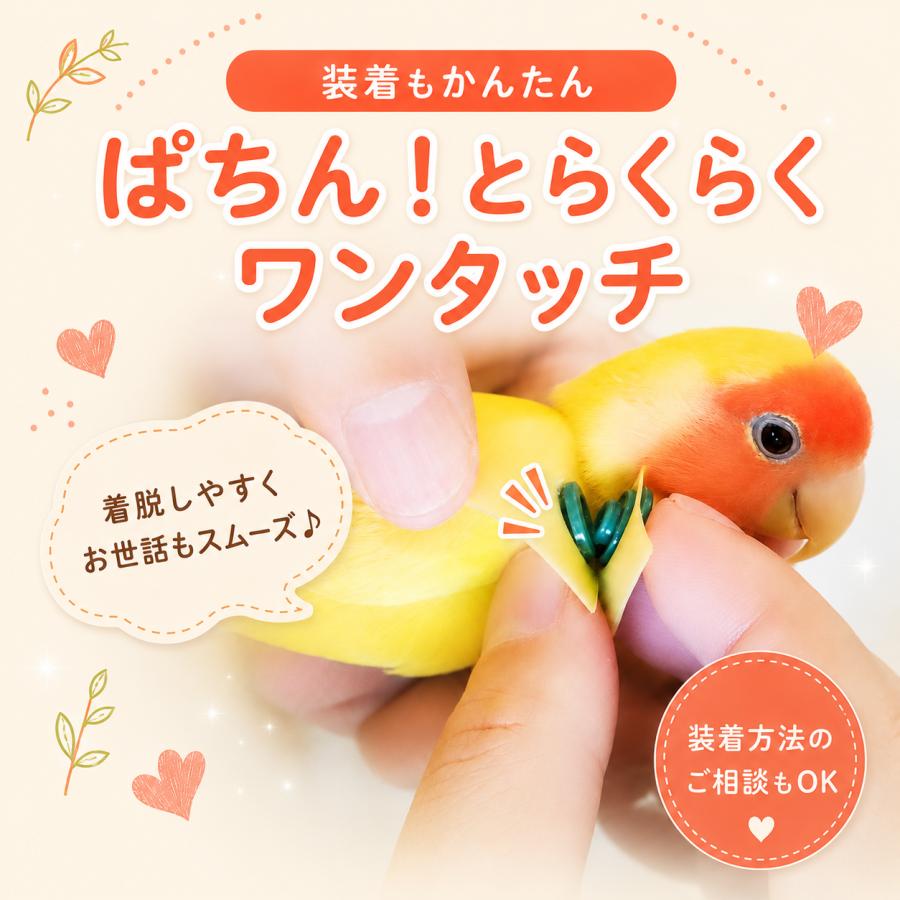 鳥 エリザベスカラー(ポンチョタイプ) 1枚・3サイズ・3色・3g : 小鳥の