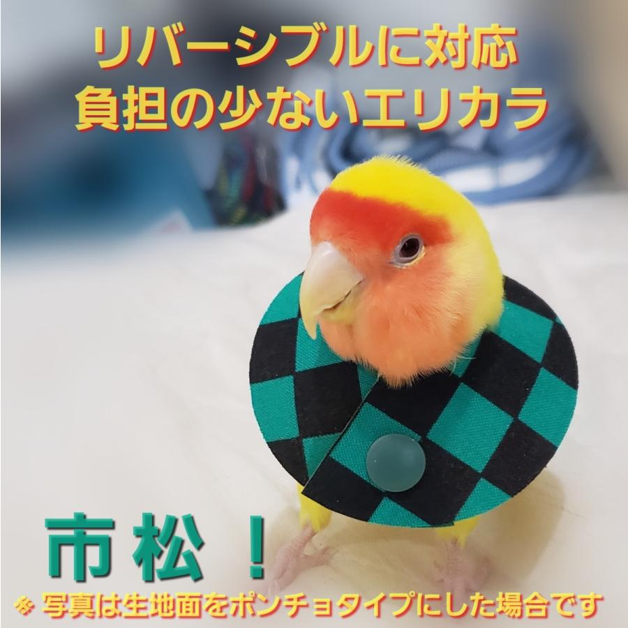 インコ エリザベスカラー(市松模様) 1枚・3サイズ・4g : エリザベス