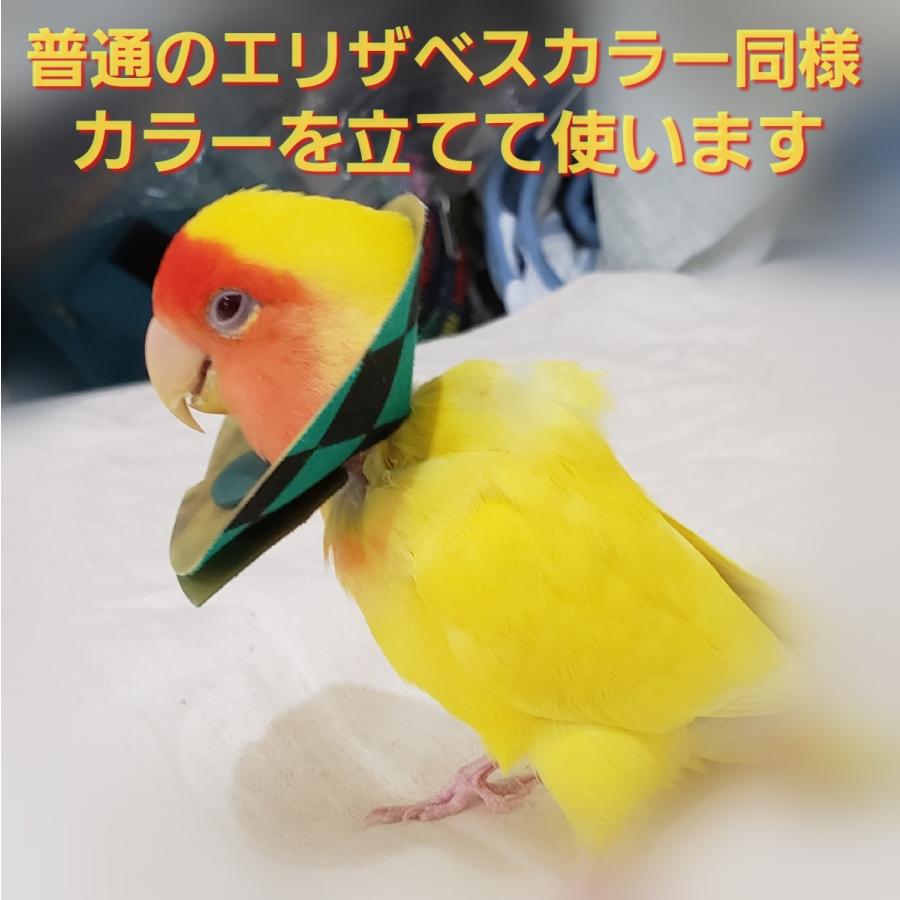 インコ エリザベスカラー(市松模様) 1枚・3サイズ・4g : エリザベス