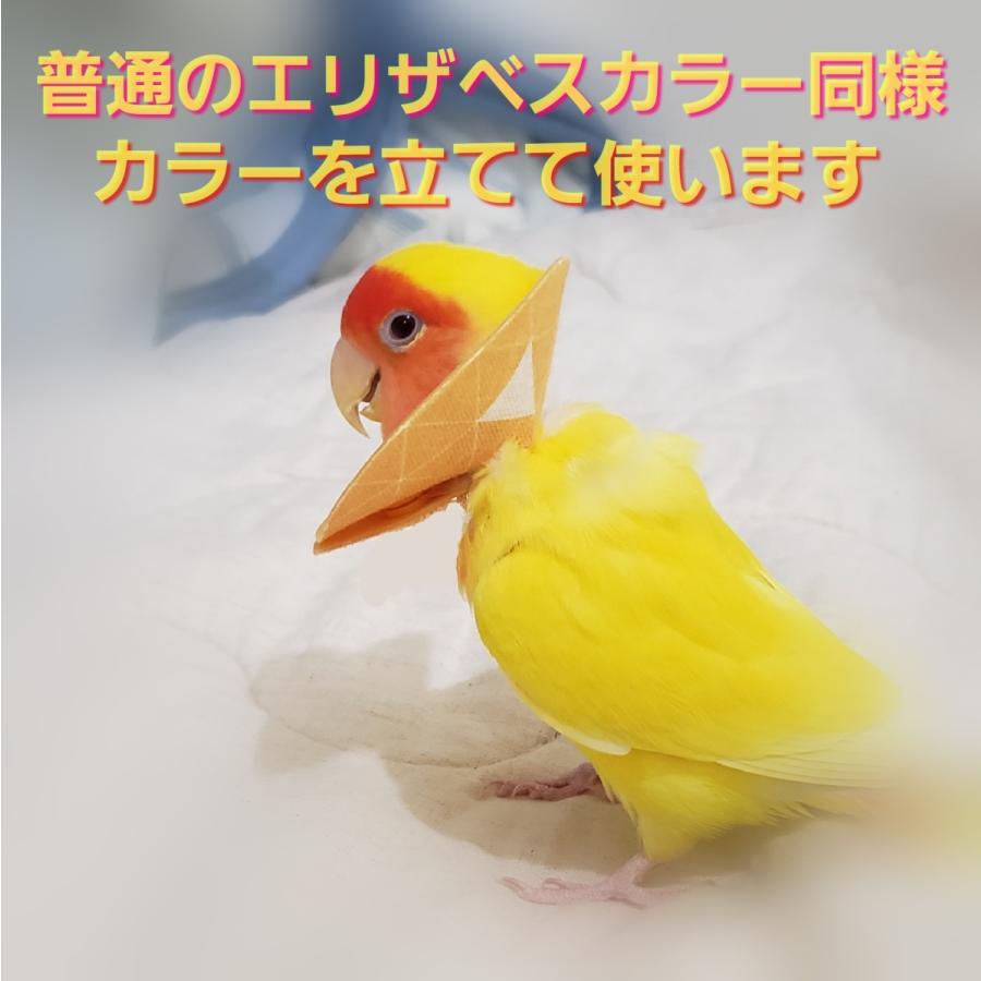 インコ エリザベスカラー(鱗・うろこ) 1枚・3サイズ・4g : エリザベス