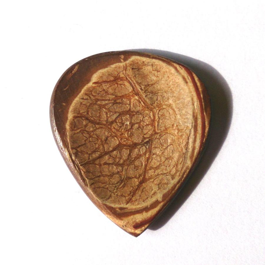 クレイトン ピック エキゾチック ココナッツ | 