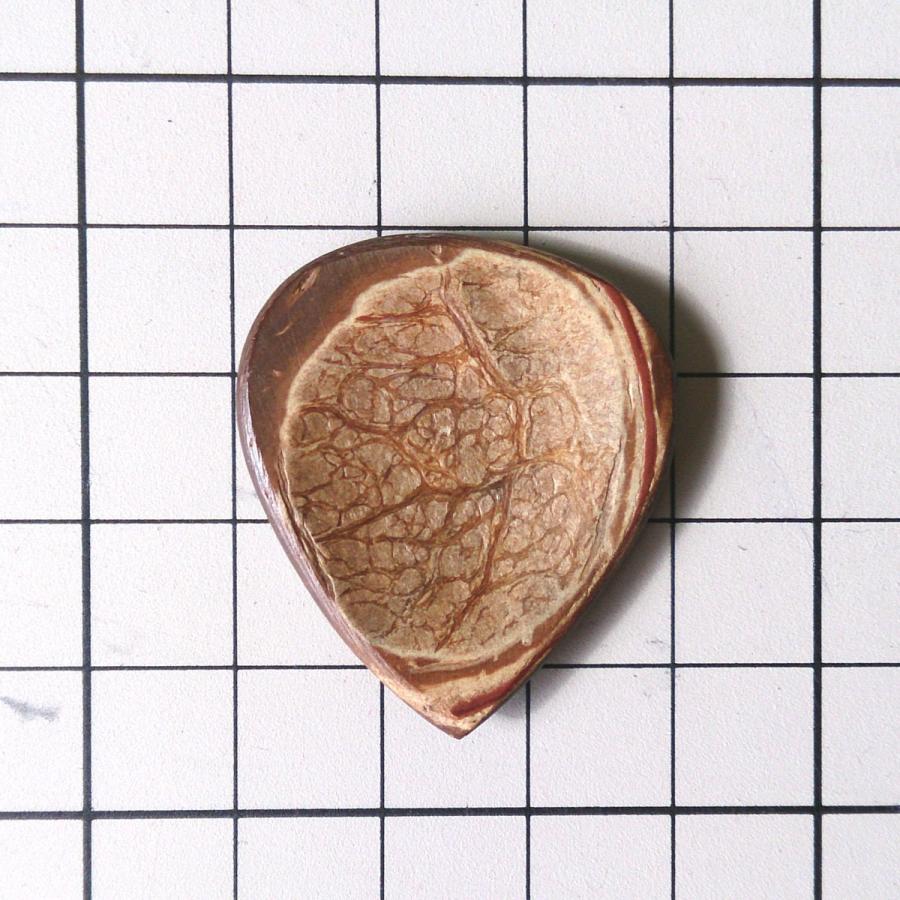 クレイトン ピック エキゾチック ココナッツ |  | 02