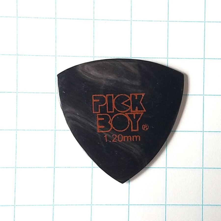 PICKBOY ピック クラフト ＧＰ-ＣＦ |  | 01