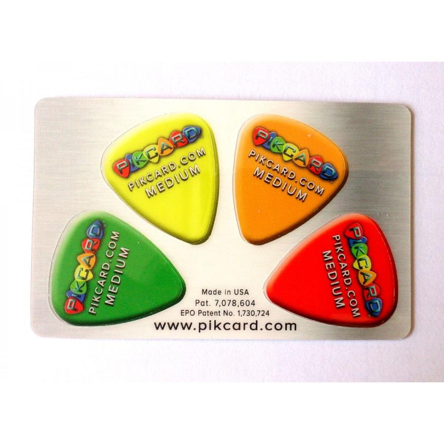 ピックカード　プロシリーズ　デルリン PCPRO-B |  | 02